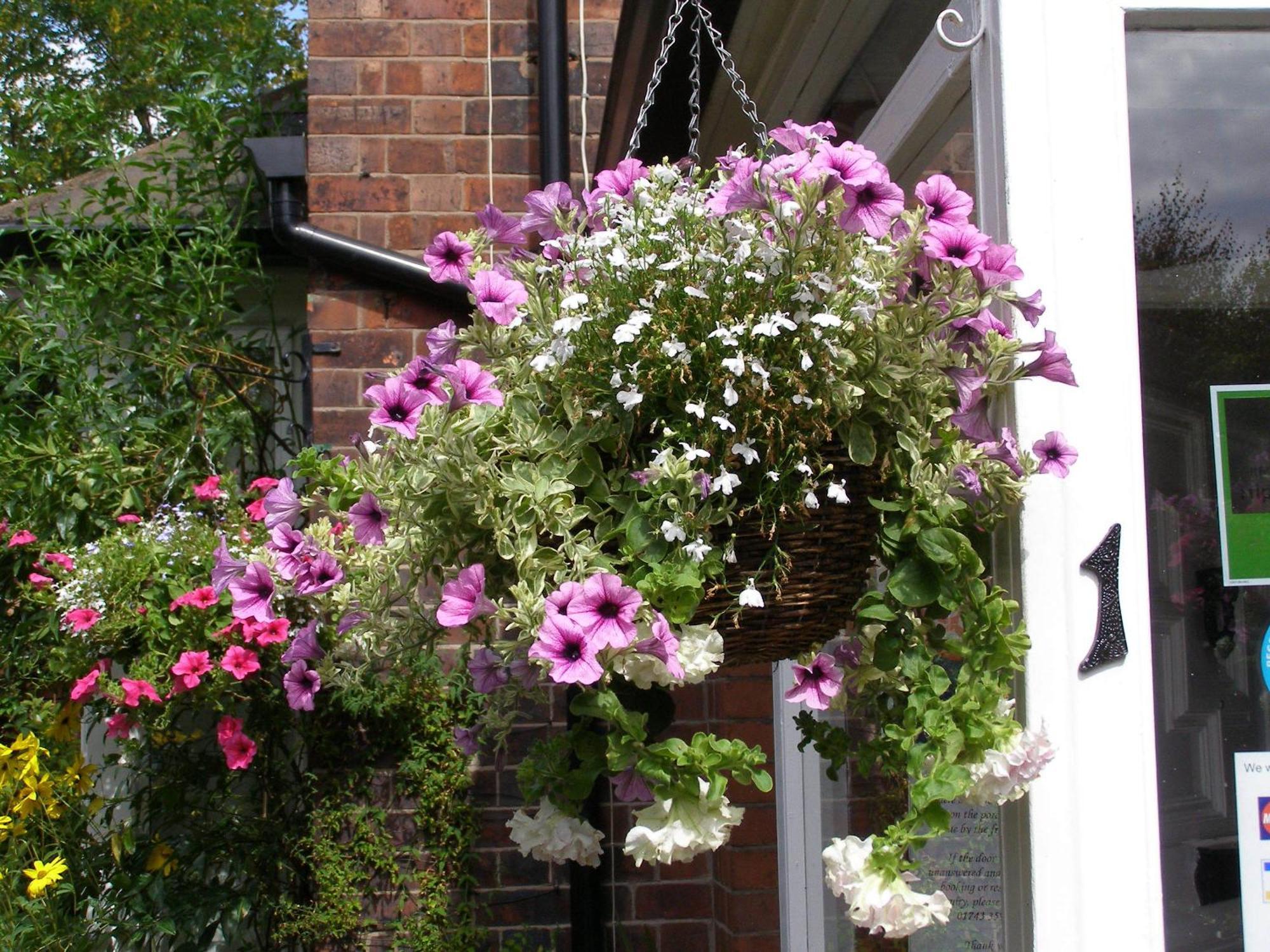Anton Guest House Bed And Breakfast Shrewsbury Bagian luar foto